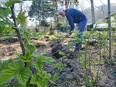 Un jardinier travaille le sol dans son jardin